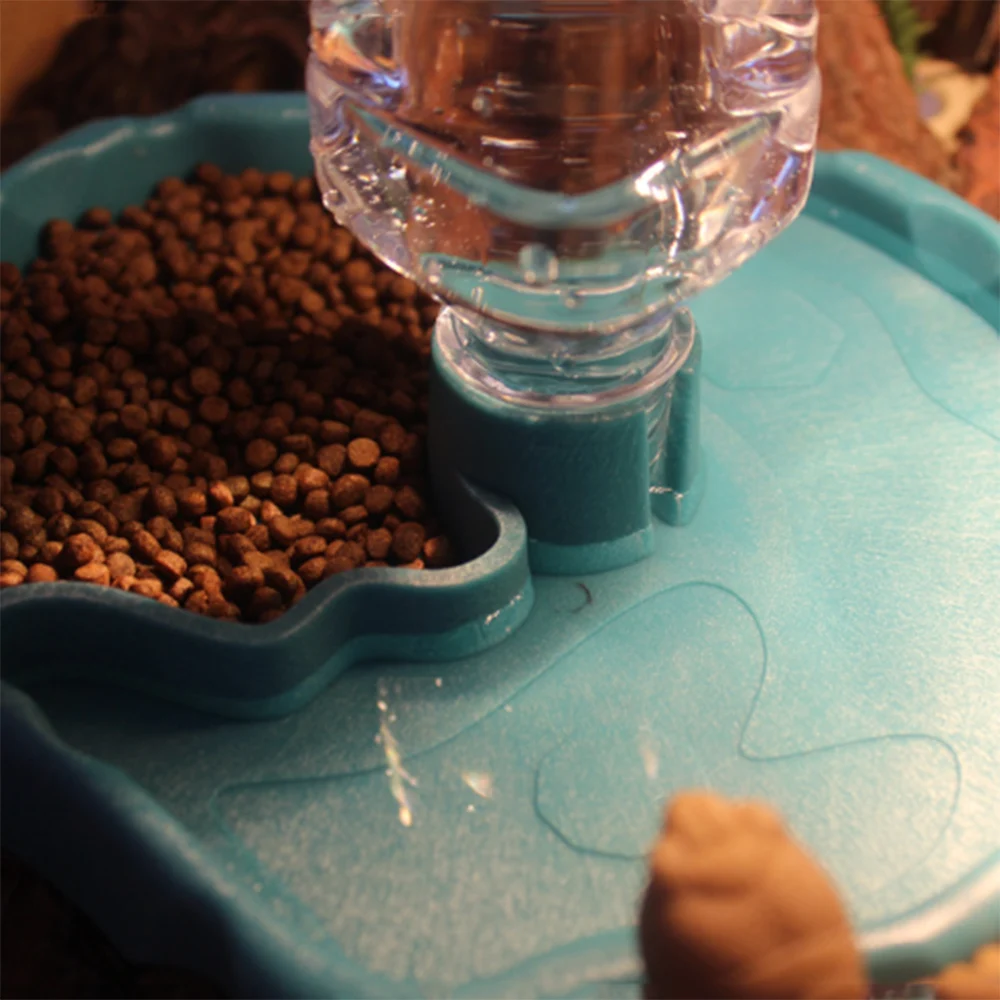1pc - Reptile Feeder, Turtle Food Dish, 3