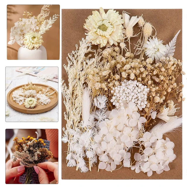 Natural Dried Flowers Resin Molds