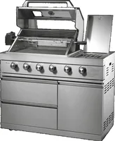 Armoire de cuisine extérieure, gril en acier inoxydable argenté, évier de Barbecue sans fumée de qualité supérieure pour pique-nique, matériau métallique 1