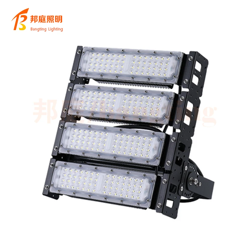 

50W 100W LED Flood Light IP66 Waterproof Outdoor Spotlight AC220V 230V 240V RGB with Remote Control Courtyard Landscape Lighting