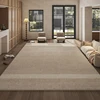 Modern Simple Living Room Decoration Carpet Home Bedroom Bedside Large Plush Carpets Light Luxury Cloakroom Soft Non-slip Rug 2