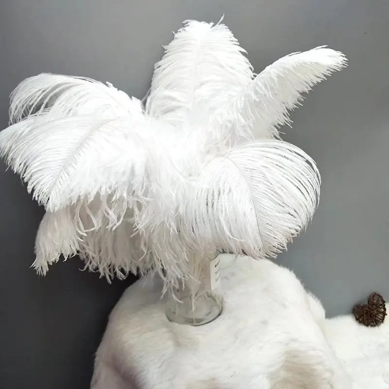 

10Pcs Natural White Ostrich Feather Craft Wedding Plume DIY jewelry making Colored Feather Party Table Christmas Home Decortion