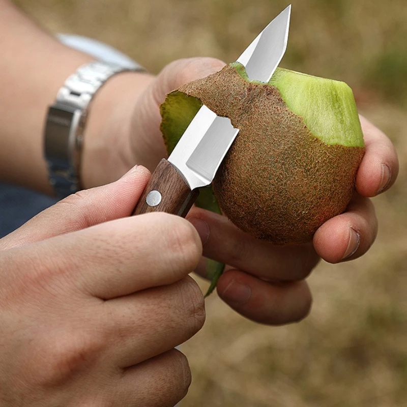 Kitchen Knife Kitchen Knives Wooden Handle Fruit Knife Kitchen Sharp Meat Cleaver Stainless Steel Vegetable Slicing Knife Mini Paring kitchen knife,meat cleaver