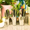 1 PC Stainless Steel Bucket Shovel Cultivation Bucket Succulent DIY Potted Bonsai Plant Helper Dig Soil Household Garden Tools 2