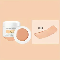 Flawless Full - Coverage Waterproof Concealer (01)