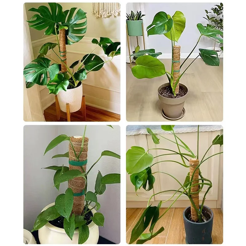 30/40/50CM Plant Climbing Pole Palm Stick Vine Support Extension Potted Plants Support Stakes Moss Pole Garden Tool Flower Decor