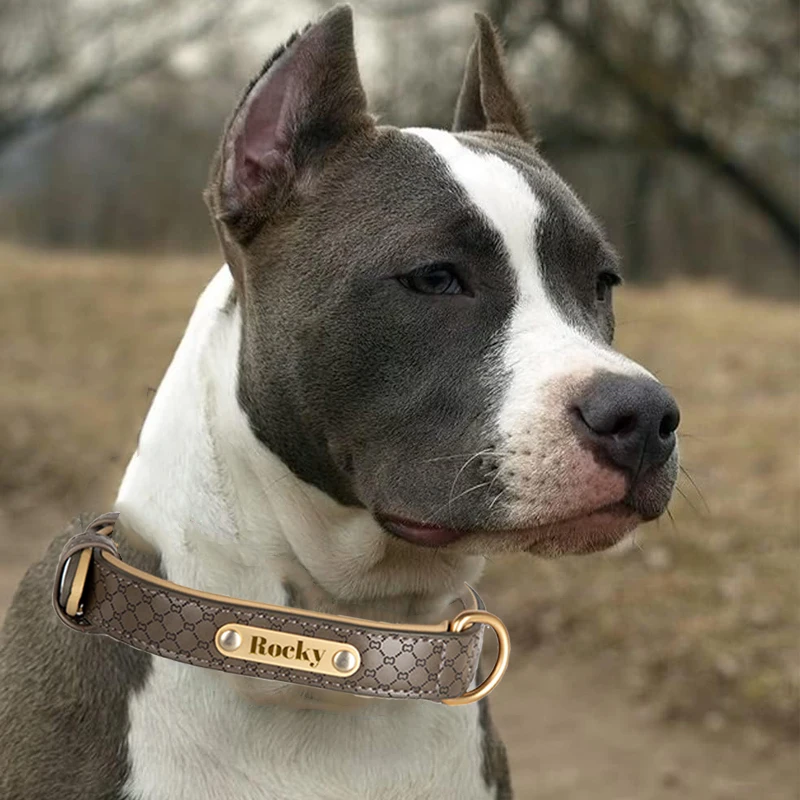 Custom Pu Leather Dog Collar Engraved Name Personalized Dogs Collar Bone Pattern for Small Medium and Large Dog Pet accessories