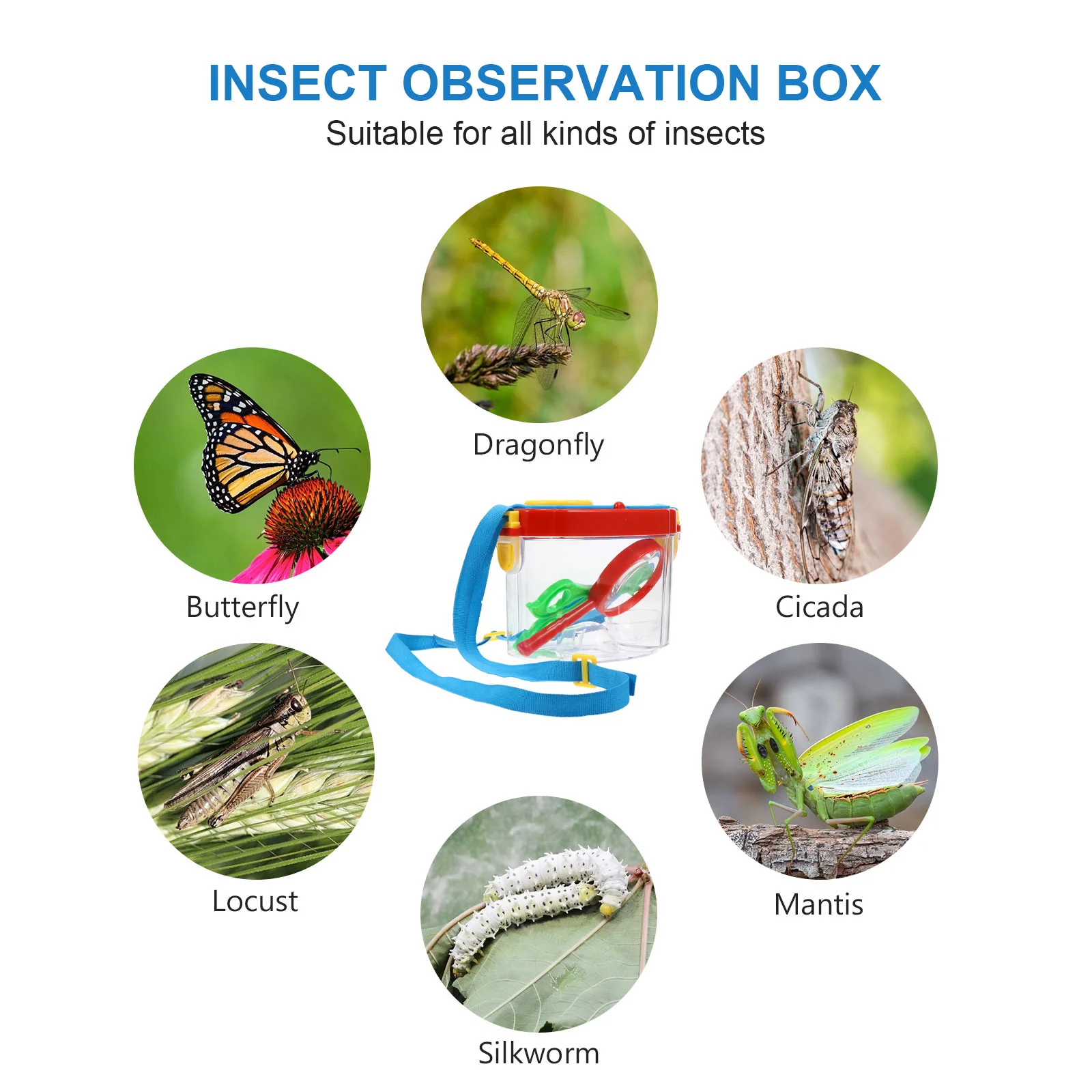 Insect Observation Box outside For Kidss Bee Catcher for Toddler Collection Collector Explorer Kit Set Abs Acrylic Child 3