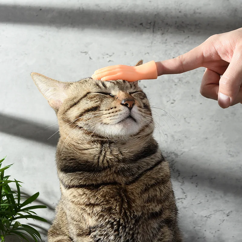 Mini mãos modelo mãos minúsculas gato massagem ferramenta, Luvas De Silicone Engraçadas, Brinquedo do gato do dedo pequeno