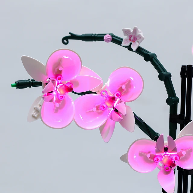 CTGtree Spielbausteine Bausteine Modellbausatz für Erwachsene Orchidee
