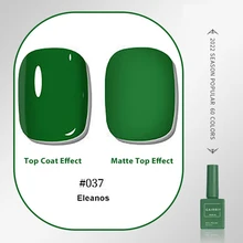  Eleanos 60 Colors 15ml Gel Nail Polish Set With Differerent Bottle Manicure Nail Varnish Semi Permanent UV LED Gel For Nail Art 