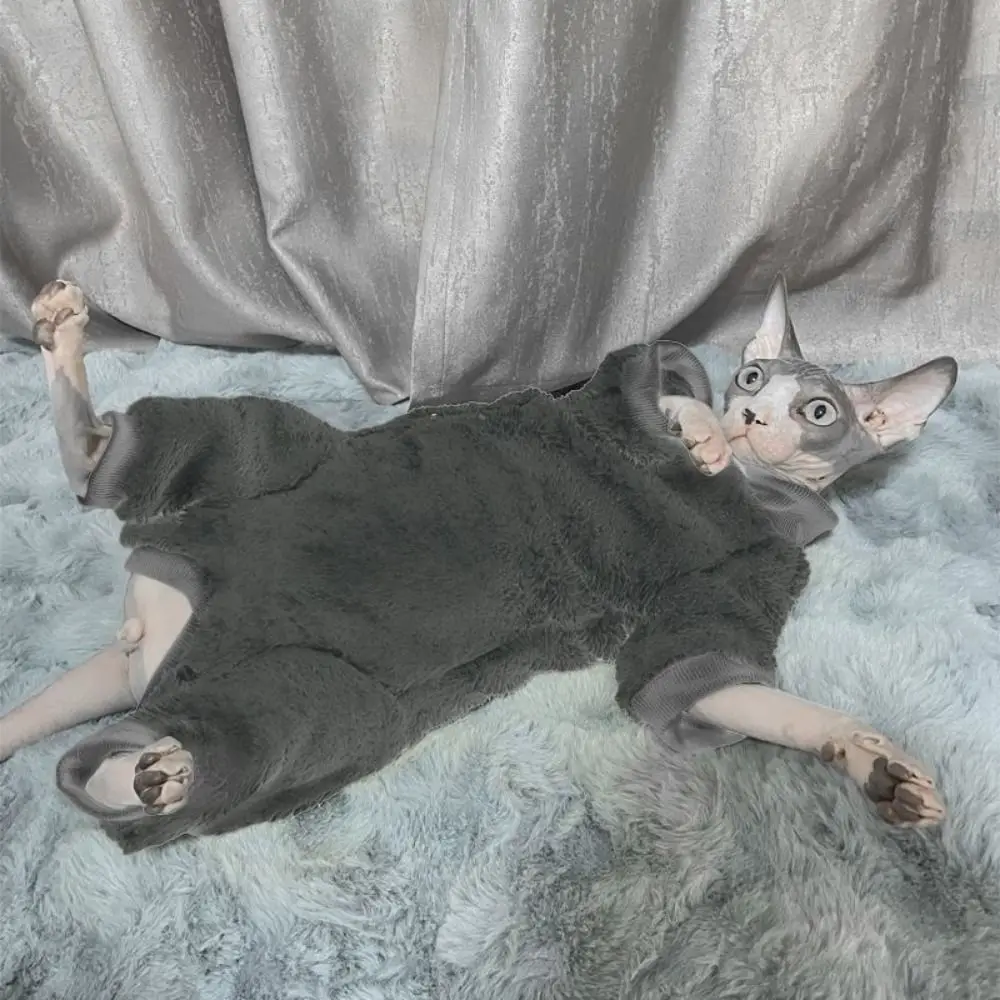 밝은 색상의 양모 털이 없는 고양이 옷 따뜻하고 두꺼운 털이 없는 고양이 복부 보호 방풍 부드러운 스핑크스 터틀넥 스웨터