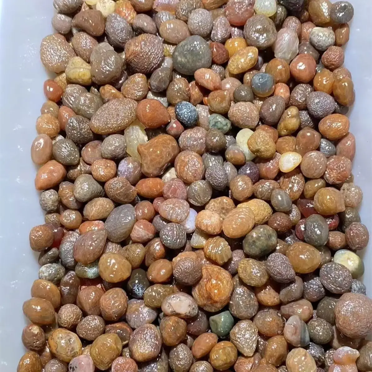 1.7kg/lot Specialty Natural Coffee Vein Yarn Stone Loose Beads Gobi agate grain Pretty texture Oily diy pendant rare
