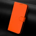Orange(YB-pt01)