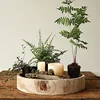Modern Organic Wooden Large Decorative Bowl for Key, Fruit, Coffee Table, Centerpiece Bowl, Rustic Home Decor, Farmhouse 3