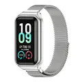 Silver Magnetic