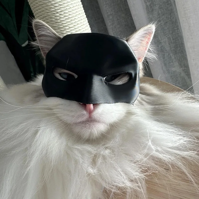 Cat Bat Mask Bat Cat Avenger Mask Cosplay Creative Black Cat Bat Mask for Halloween Cosplay Decorative Man Face