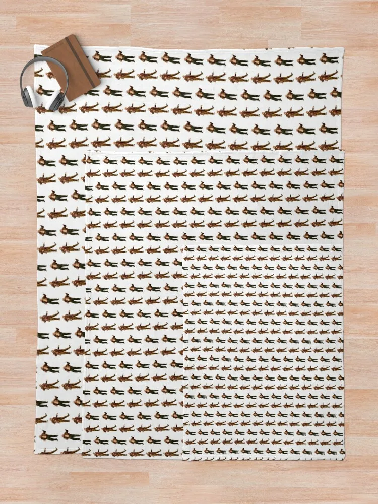 ������� BroadwayThrow ����Ŷ ������ ��� ��, ���Ÿ� ����Ŷ