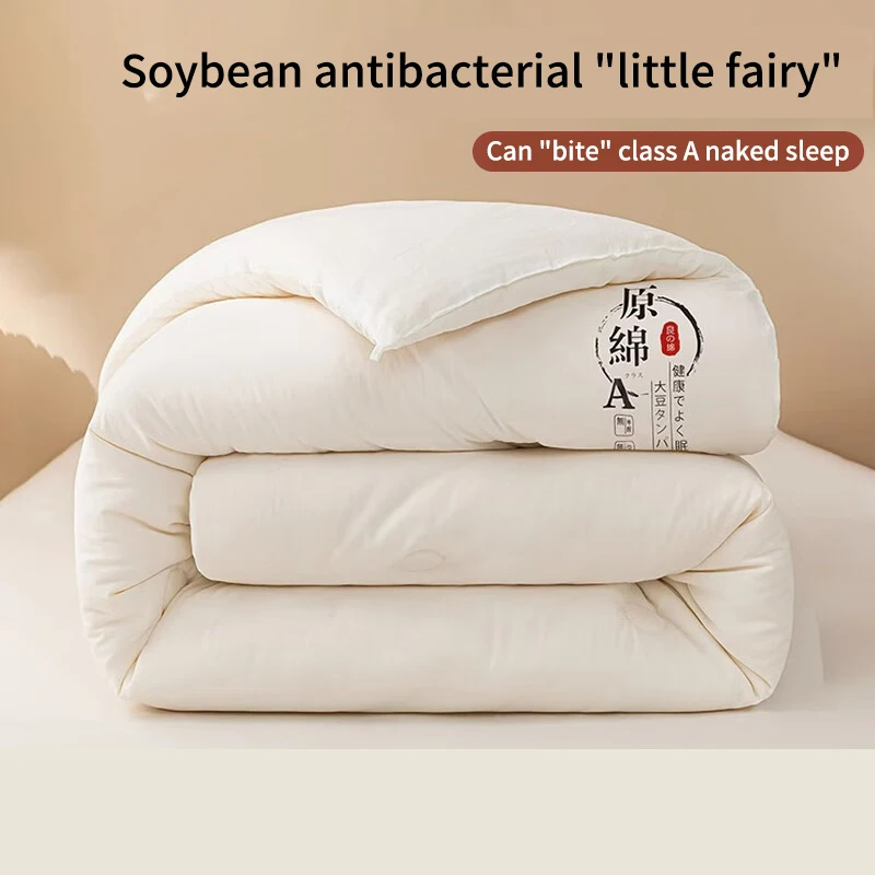 Raw Cotton Soybean Quilt Spring and Autumn Quilt Thickened Winter