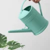 2L Watering Can with Long Spout for Indoor Plants, Outdoor Garden, Flowers, Houseplants 1