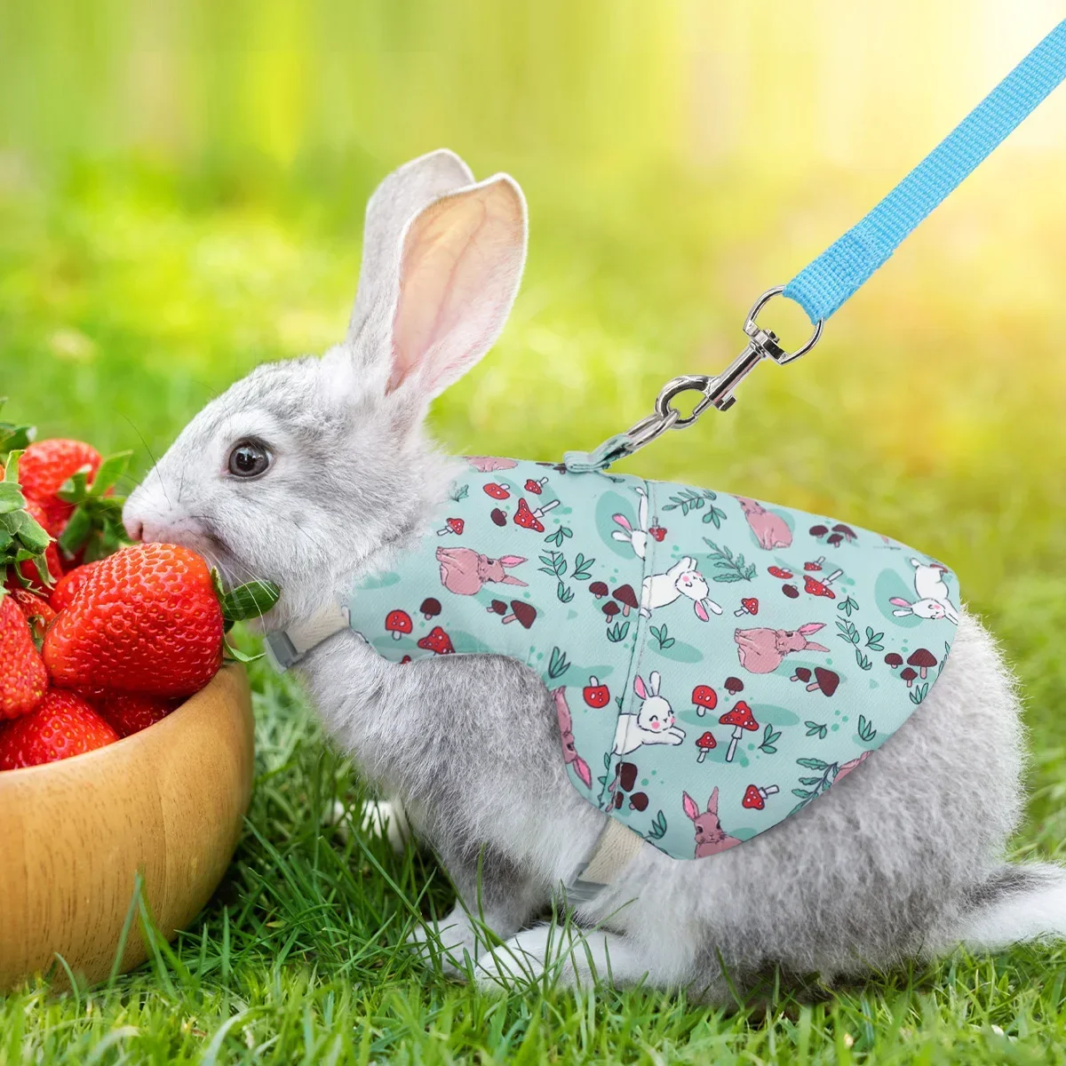 Small pet safety towing rope, rural fresh hanging neck rope rabbit chest and back cover, Dutch pig walking rabbit rope,