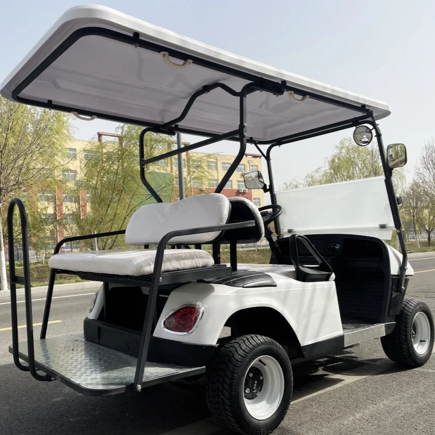 Electric Golf Cart Hot Sale 2 Seat Club VIP Modern Fashion Adult Electric Car Free Color Golf Scooter