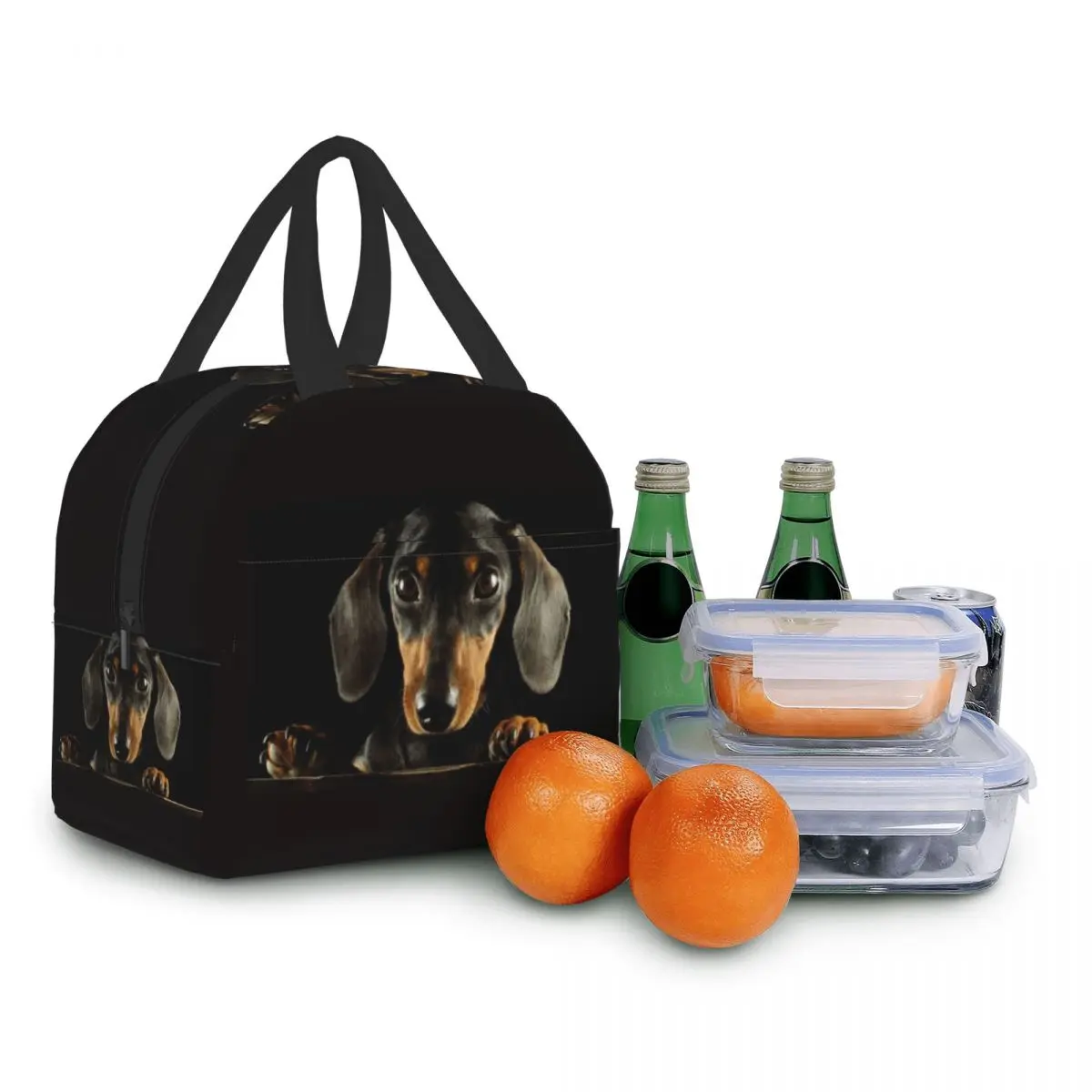 Dachshund Insulated Lunch Tote Bag Portable Thermal Cooler Food Bento Box for Work School Travel Sausage Wiener Dog Lunch Bags