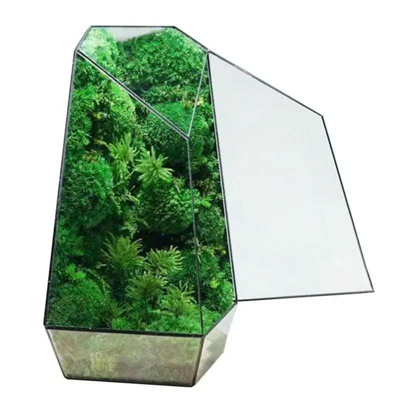 

Succulent Terrarium Modern Handmade Glass Planter Pot with Door Handmade Glass Small Geometric Container for Fern Moss Air Plant