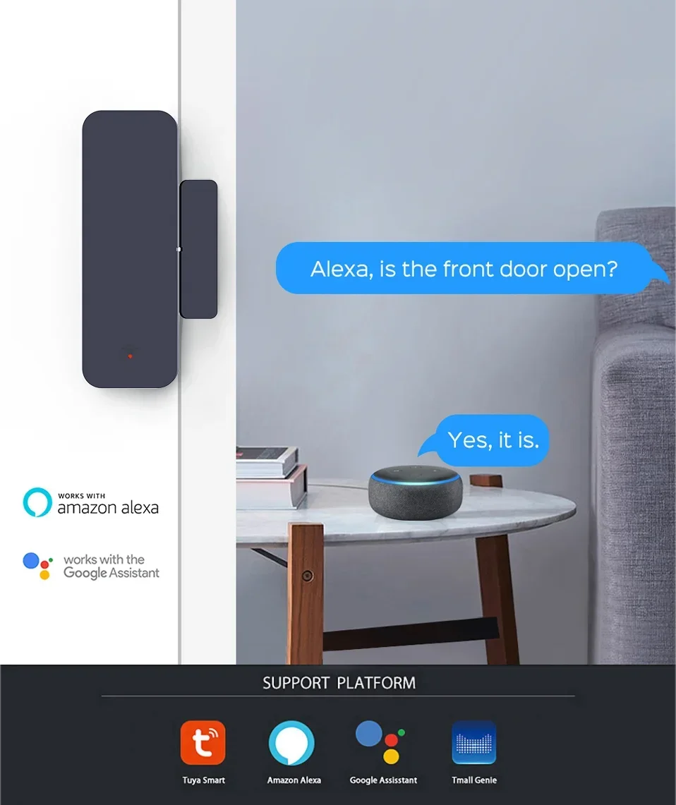 Speaker Google Que Opinas De Alexa Como Usar Alexa En Mi Celular - Main Image