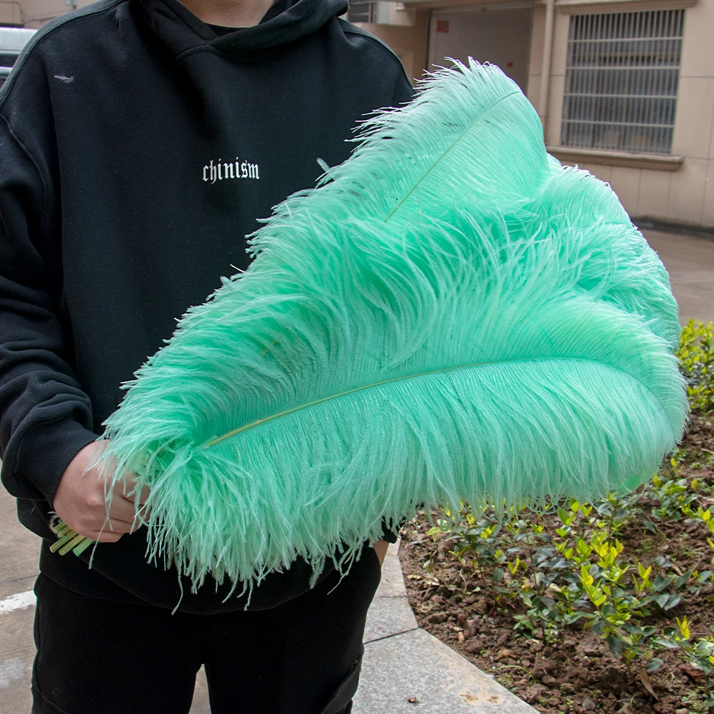 Green Feathers, Large Crafting Plumes