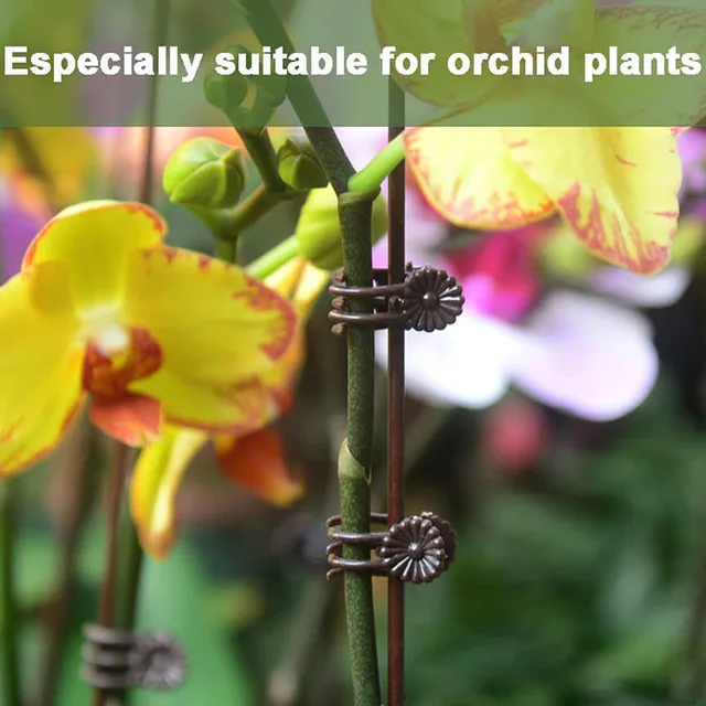 10-100 Perces Műanyag Növényi Tartó Klipek Orchidea Virágok Támaszpontú Mászó Szőlő Szár Kapcsolt Köteg Ágkert Szerszám - Image 2