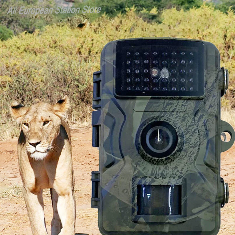 Caméra de chasse étanche vision nocturne infrarouge détection mouvement pour pistage animalier