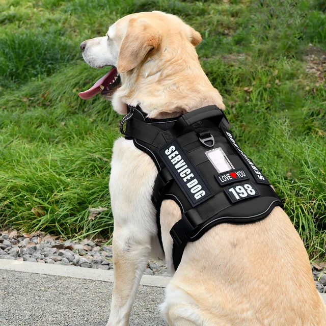 Service Dog Vest No Pull Dog Harness with 4 Dog Patches, Reflective Pet Harness with Durable Soft Padded Handle for Training Med 5