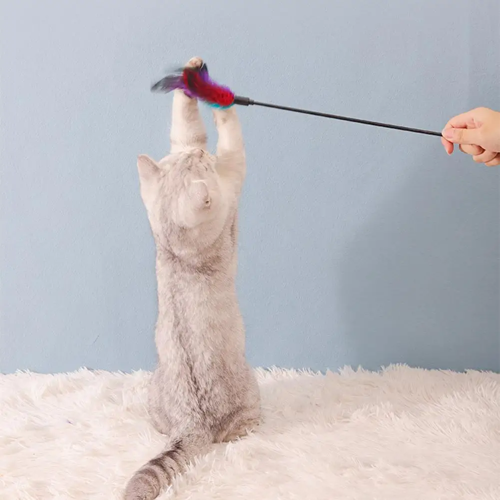 Cats Interactive Feather Toy Sb9d49d95b8144db595d85a0a92339143H