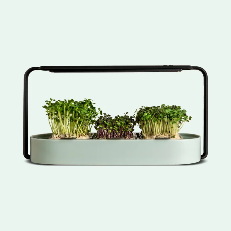 

Smart Home Kits & Systems Hydroponics Indoor Planter Led Your Own Kit Garden Plant Kit
