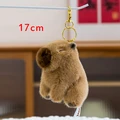 17cm close eye