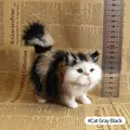 Cat Gray Black