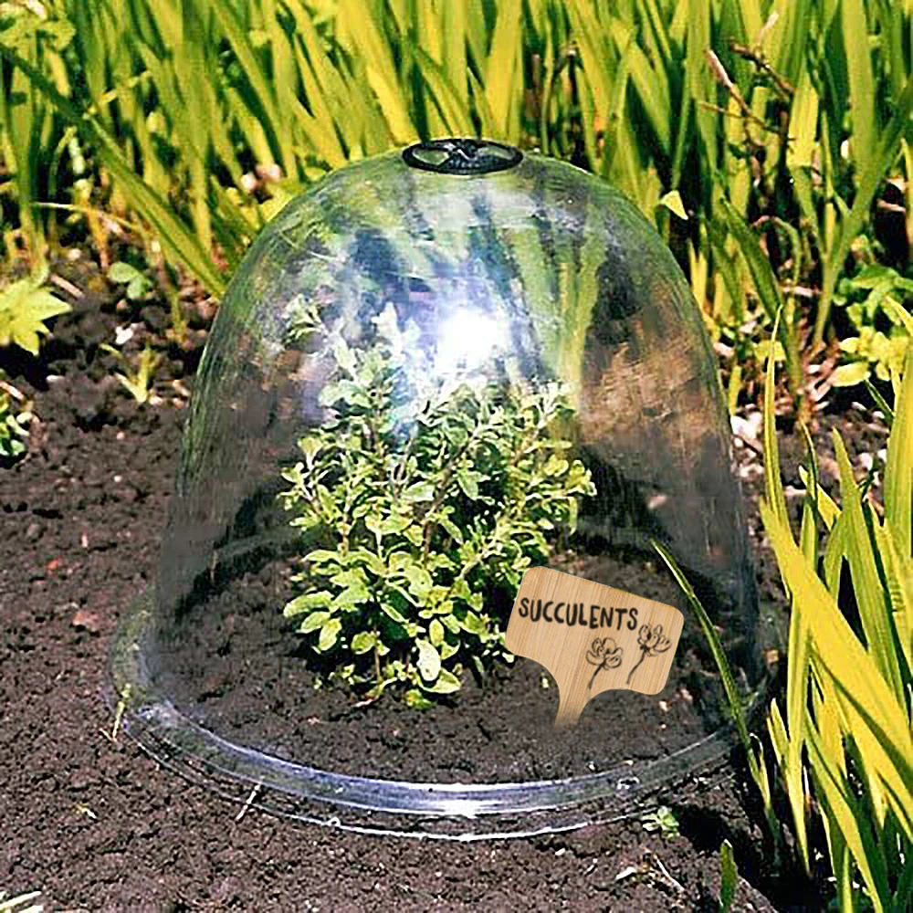 5-Greenhouse-Garden-Plant-Sprout-Guards-for-Frost-Protection-Plus-10-Gardening-Wood-Labels-and-1.jpg 5 Üvegházhatású Kerti Növényi Csírák A Fagyvédelemhez, Plusz 10 Kertészeti Fa Címkék És 1 Marker Toll Újra Felhasználhatók - Image 2