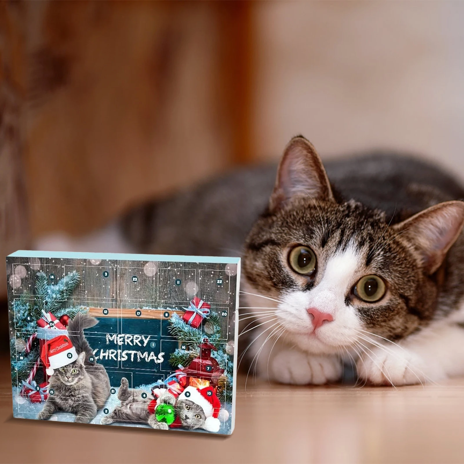 Christmas Cat Toy Advent Calendar 24 Days Xmas Countdown Gifts for Christmas Countdown Holiday MIAO