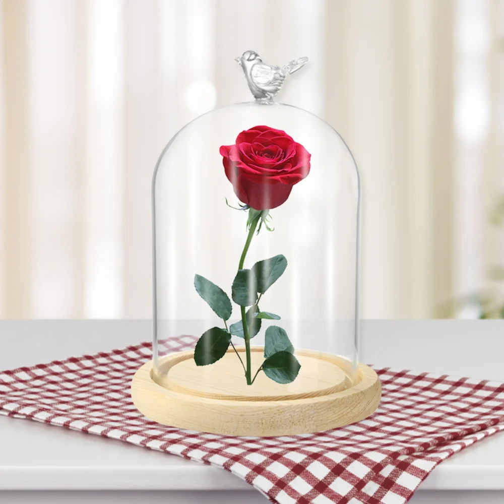 Valentines Day Gift Preserved Flower Glass Covered Dome with Bird Handle Wooden Base Valentines Day Mothers Day Gifts For Women 5