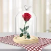 Valentines Day Gift Preserved Flower Glass Covered Dome with Bird Handle Wooden Base Valentines Day Mothers Day Gifts For Women 5
