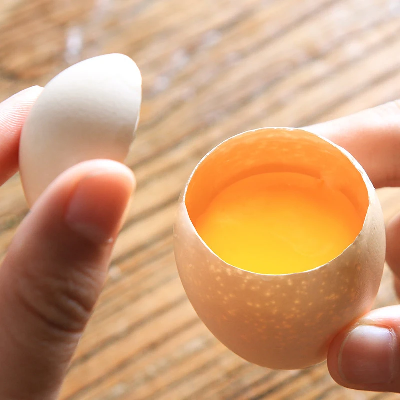 Egg Opener Stainless Steel Shell
