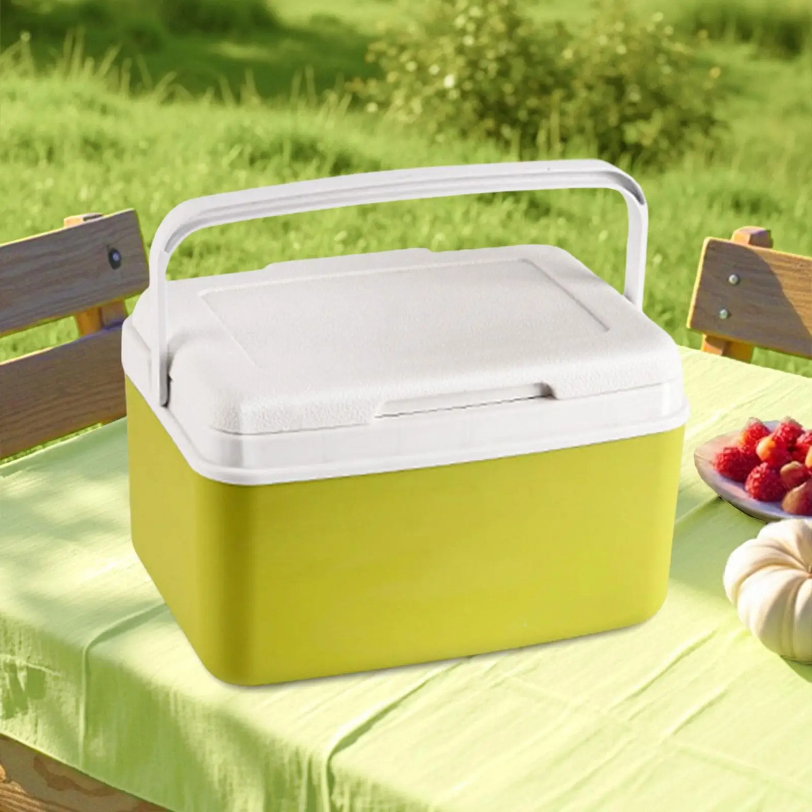 Insulated Cooler Box Car Refrigerator Versatile Personal Cold/Heat Preservation Cooler Ice Chest Small for Picnic Boat Party