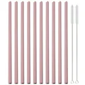 10pcs 2brush
