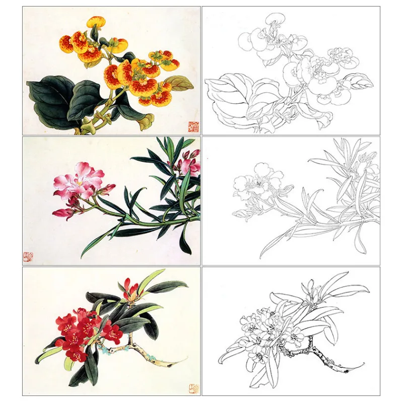 Yu Zhizhen Chinese Painting Flowers Birds Manuscript Meticulous Painting Line Draft Beginner Chinese Painting Copy Manuscript