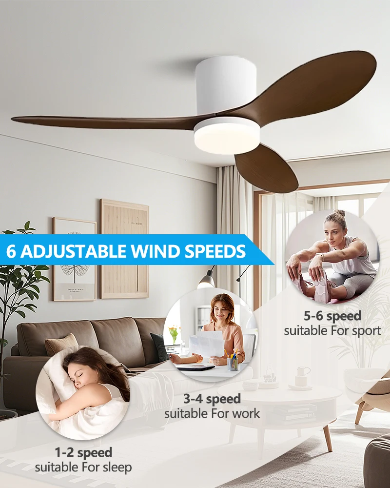 Fan Light Image 3