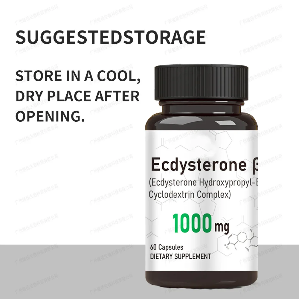 

1 bottle of ecdysterone capsules to increase muscle size promote collagen synthesis support health