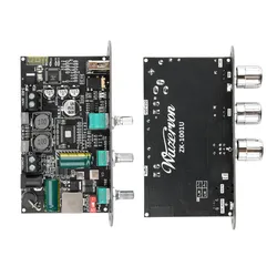 100W Bluetooth Mono Amplifier Board with APP Control and USB Connectivity (With LOGO)