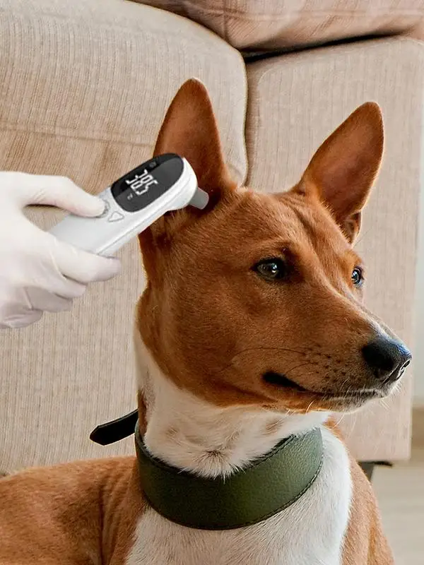 Animal Thermometer Pet Dog Cat Ear Digital Thermometer For Cats Non-Contact Electronic For Home and Clinic Use