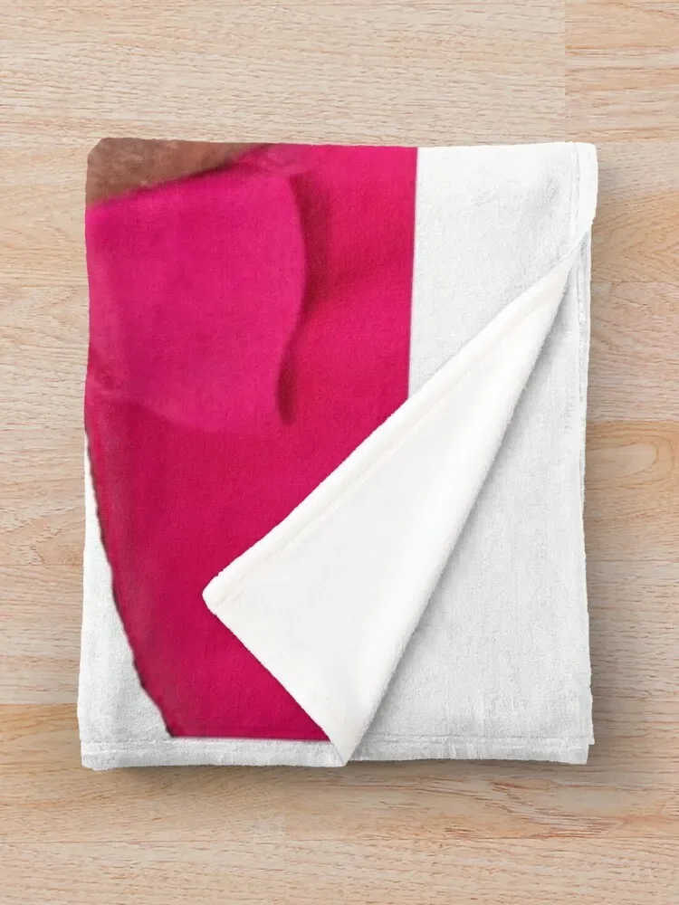 �� ���� ���ο� ���, ���� ���Ÿ� �귣�� ���� ���